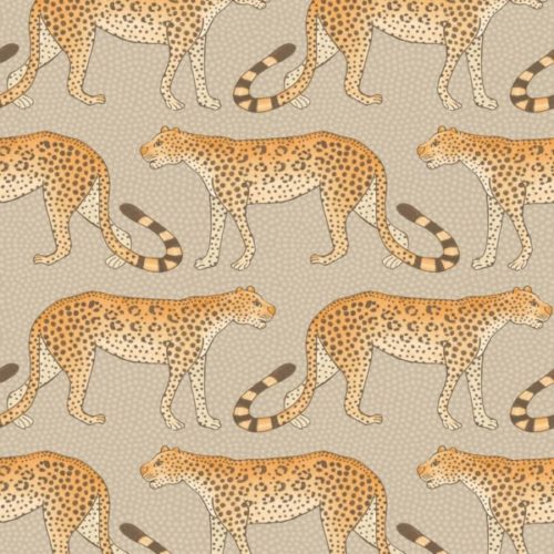 Leopard Walk 109-2010